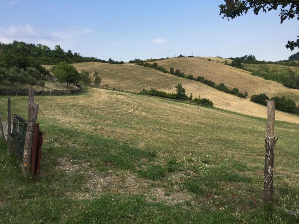 오짜노 델 에밀리아 La Palazzina Di Ciagnano 빌라 외부 사진